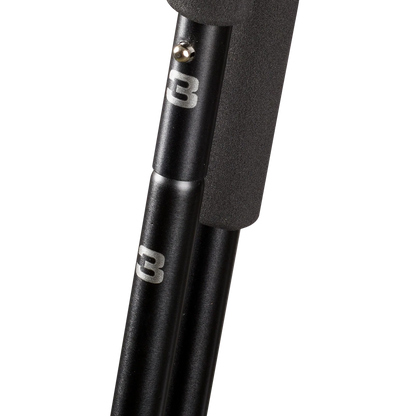 Seeland Zielstock