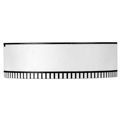 Blaser B2 1,7-10x42 iC