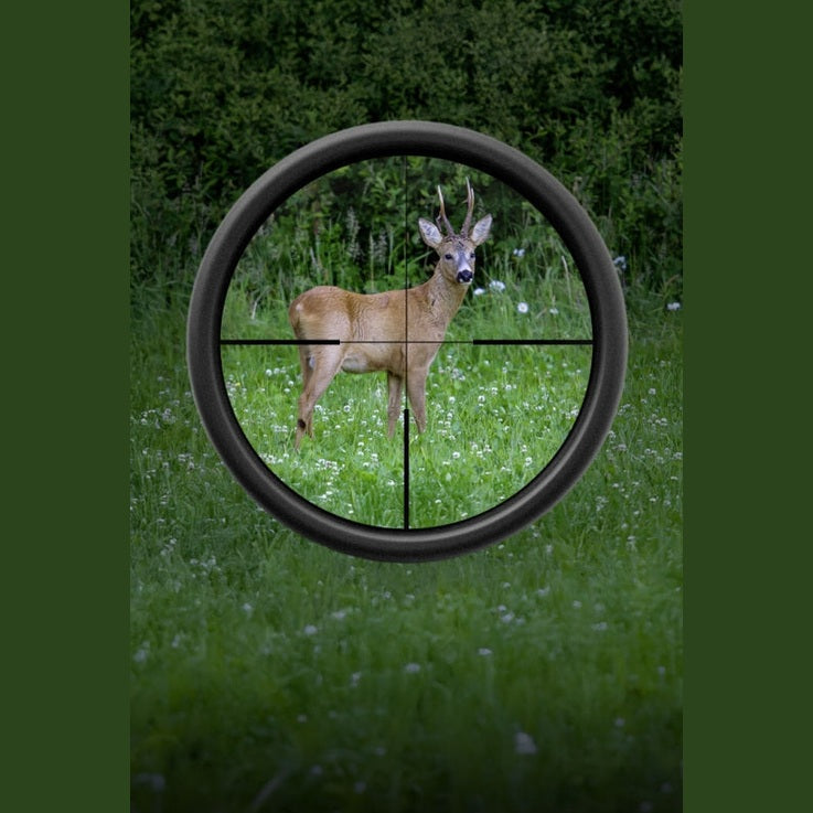 Blaser B2 3-18x50 iC QDC+