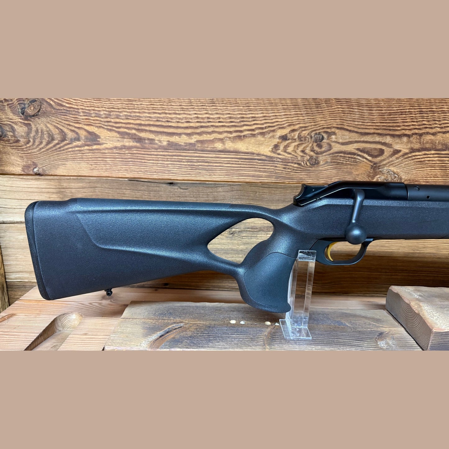 Blaser R8 Professional Success
