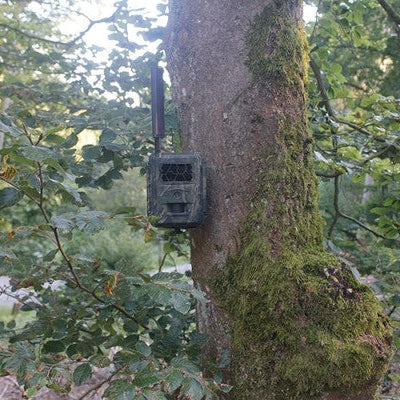 SEISSIGER Wildkamera Special-Cam LTE -Standardversion