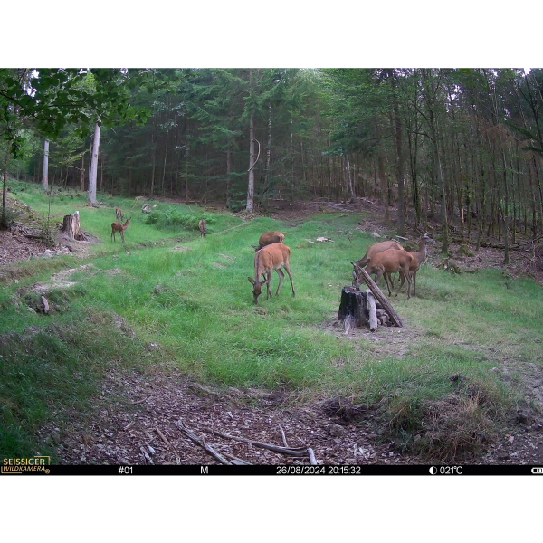 SEISSIGER Wildkamera Mini-Cam