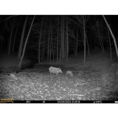 SEISSIGER Wildkamera Mini-Cam