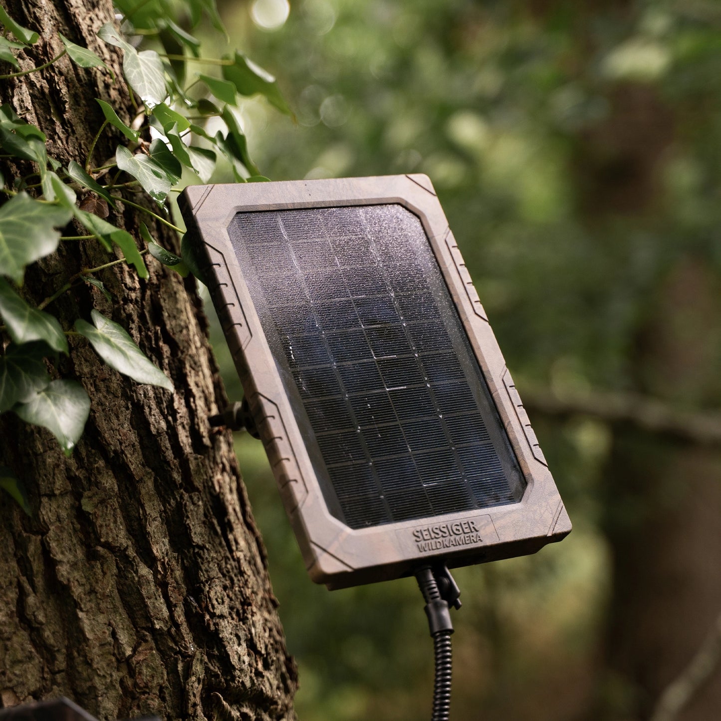 SEISSIGER Wildkamera Solarpanel für Wildkameras