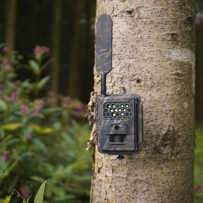 SEISSIGER Wildkamera Special-Cam LTE "Weißblitz" - SUPERSIM-Edition inkl. 18650 Akkus