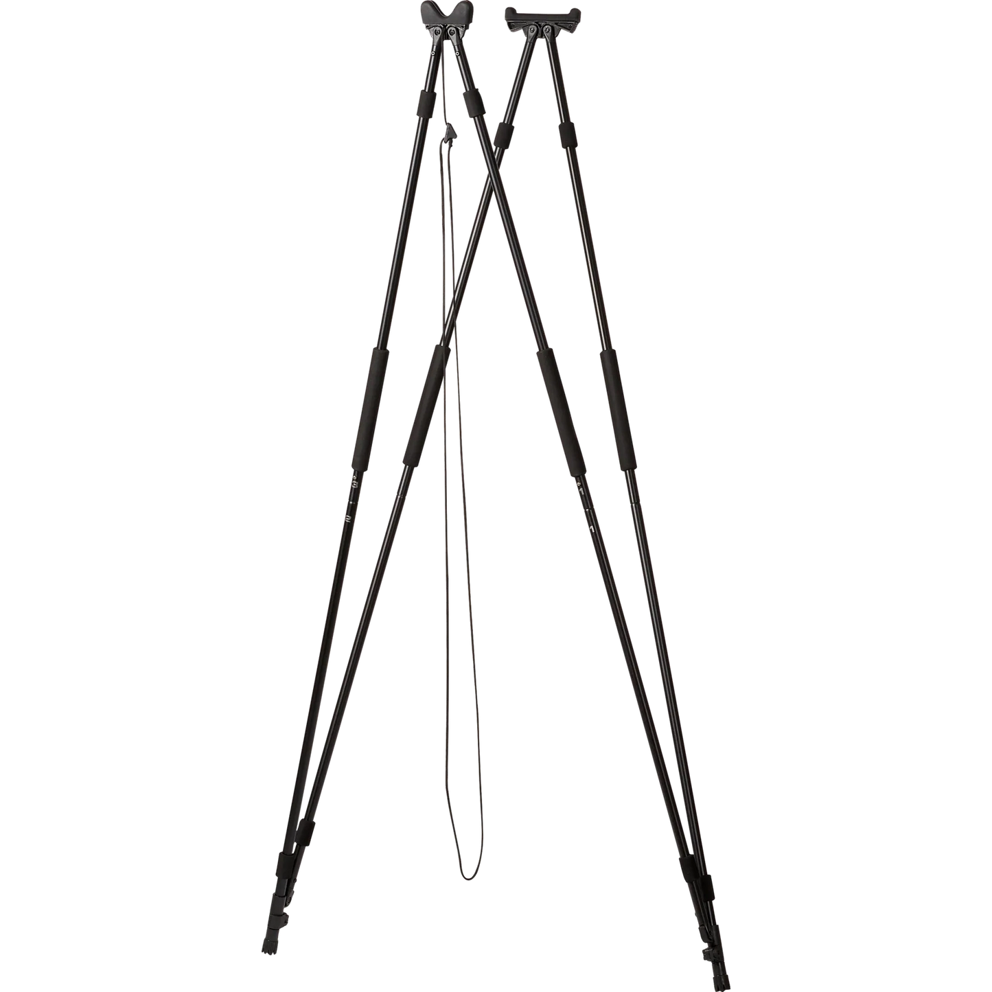 Seeland Zielstock